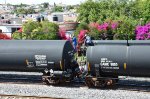 GAMX Tank car with immigrants